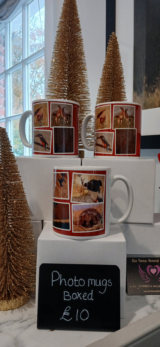 Photo Mug - Elise's Photographs