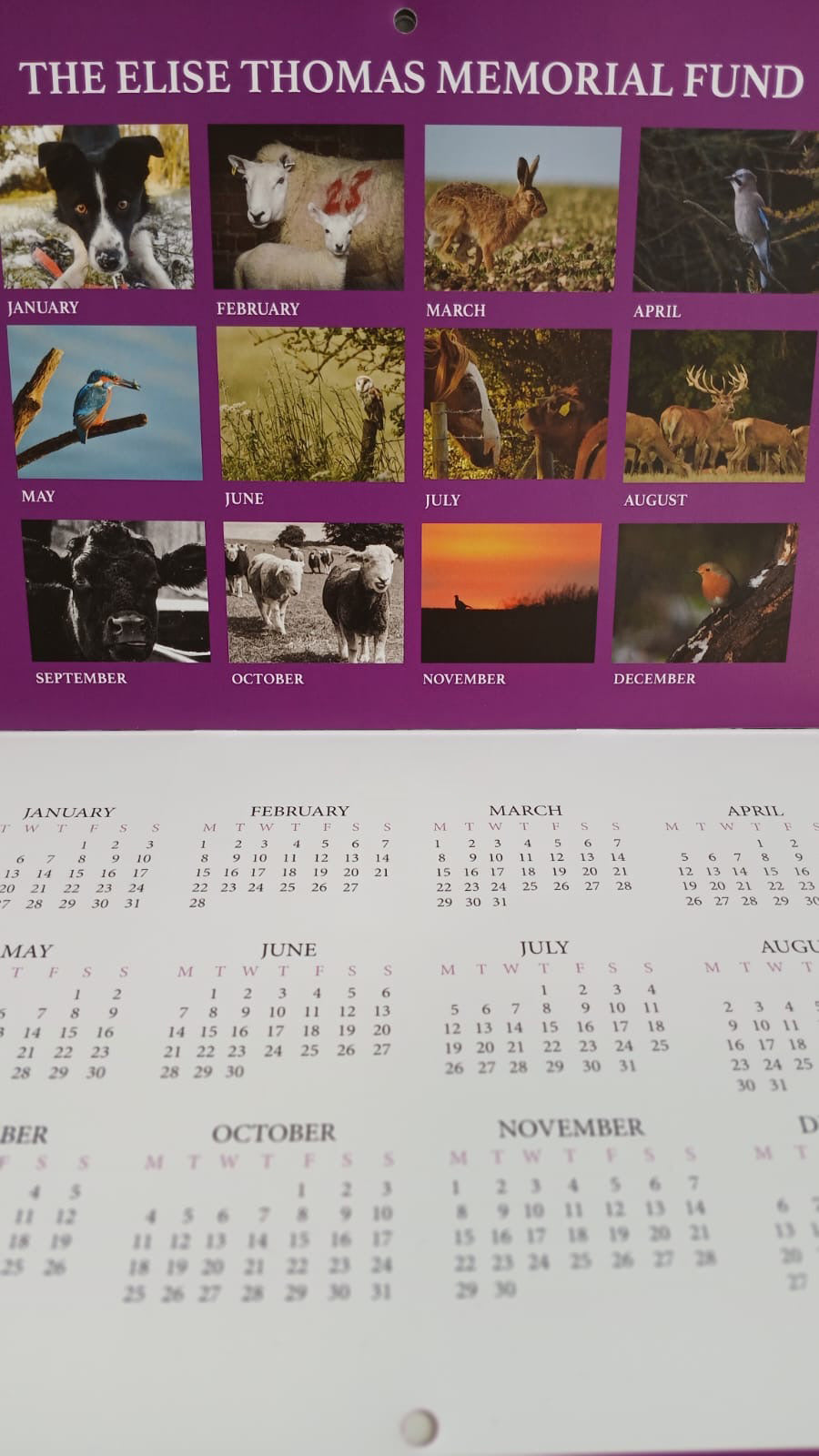 Calendar - 2026
